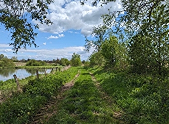 Sentier de la Genévrière - SAINT-MARTIN-EN-BRESSE