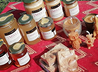 Miel de Bragny - BRAGNY-SUR-SAONE