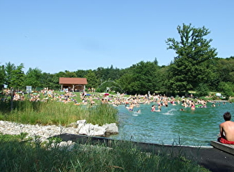 Plan d'eau biotope - LA CHAPELLE-SAINT-SAUVEUR