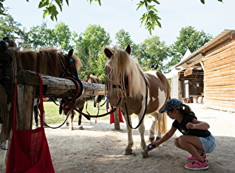 Trotte La Vivelle - GUERFAND