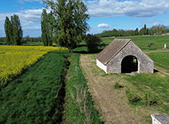 Un maïs au coeur d'artichaut - ALLERIOT