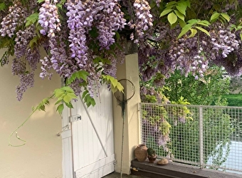 La maison des Glycines - VERDUN-CIEL
