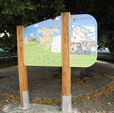 Panouille dans la panade