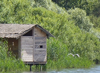 Le Grand Etang de Pontoux - PONTOUX