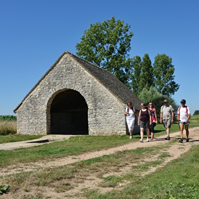 Un maïs au coeur d'artichaut