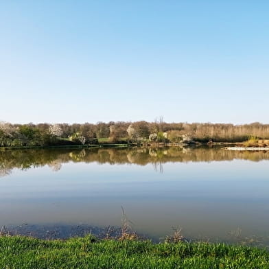 Pêche à l'étang de la Gruyère