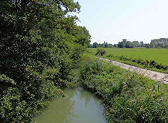Sentier des hérons - PALLEAU