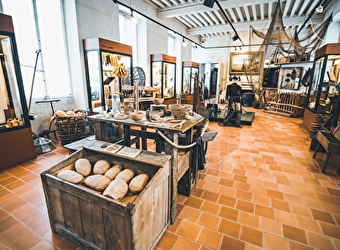 En famille au musée : La Bresse à travers monstres - PIERRE-DE-BRESSE