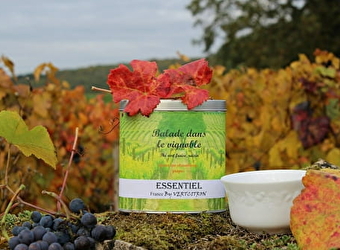 Vertcitron - NAVILLY