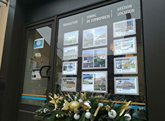 Neyrat Immobilier - SAINT-MARTIN-EN-BRESSE