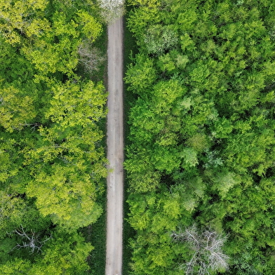 Sentier de la Vivelle