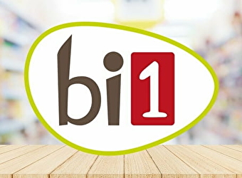 Bi1 - VERDUN-SUR-LE-DOUBS