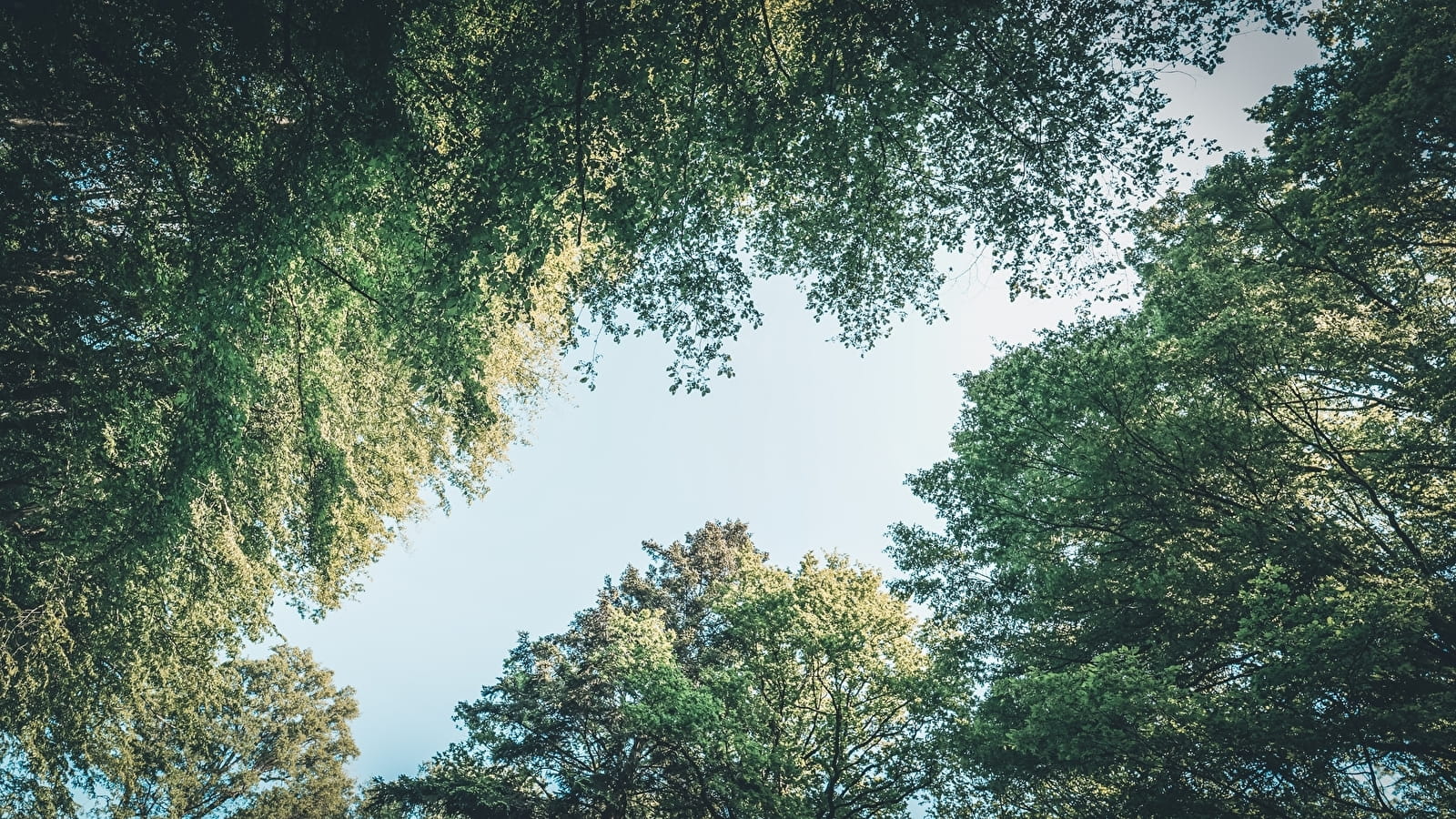 En famille au musée : les lignes de la nature