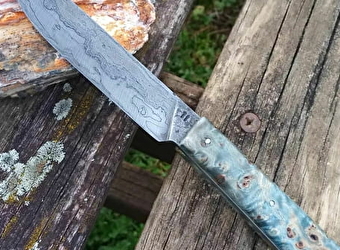 Maxime Teste - PALLEAU