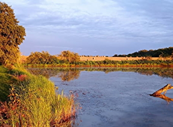 Pêche à l'étang de la Gruyère - NAVILLY