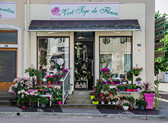 Vert Tige de Fleurs - VERDUN-SUR-LE-DOUBS