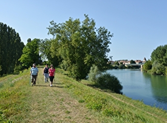 Panouille dans la panade - VERDUN-CIEL